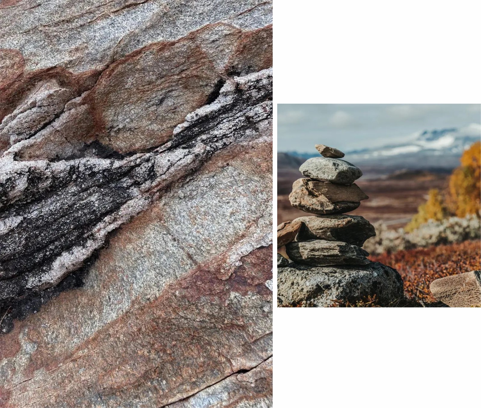 1668498126466957.jpg 未命名 -1.jpg